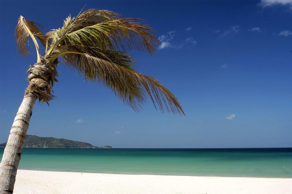 Resort Horizon And Patong
